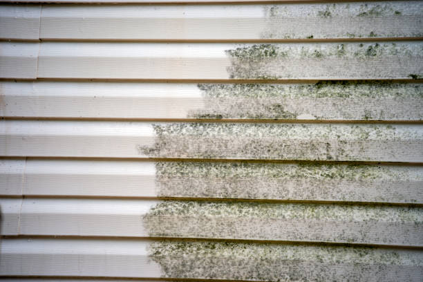 Best Property Management Cleanouts  in Lanster, CA